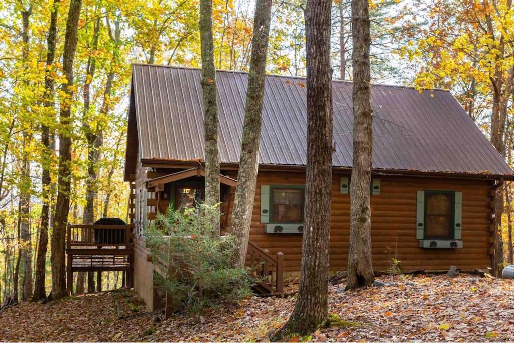 Mountain Time Cabin, Hot Tub, Fire Pit, Fireplace Villa Blue Ridge Buitenkant foto