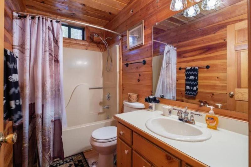Mountain Time Cabin, Hot Tub, Fire Pit, Fireplace Villa Blue Ridge Buitenkant foto