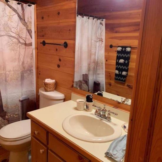 Mountain Time Cabin, Hot Tub, Fire Pit, Fireplace Villa Blue Ridge Buitenkant foto